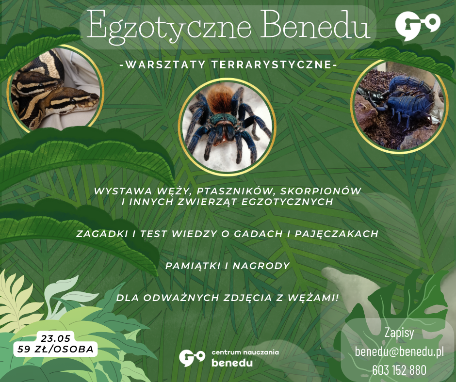 Warsztaty terrarystyczne w Benedu