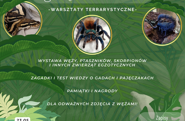 Warsztaty terrarystyczne w Benedu