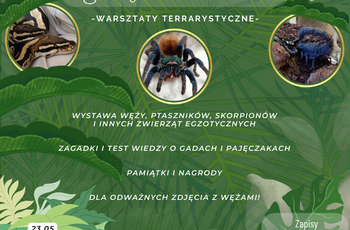 Warsztaty terrarystyczne w Benedu